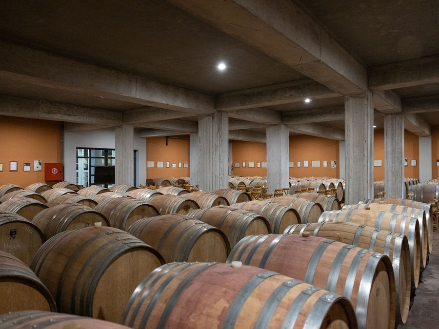 Hn7sJURr_Lafazanis MegalesMeres 2023 day1 (76).jpg